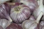 garlic bulbs at garlic goodness growing and selling natural garlic, seasonal vegetables and sustainable, grass-fed beef in red deer county, ab