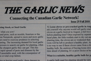 issues of the garlic news uploaded by at garlic goodness growing natural garlic, seasonal vegetables and raising sustainable highland beef in red deer county ab